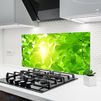Painel vidro cozinha Folhas Natureza Sol Planta