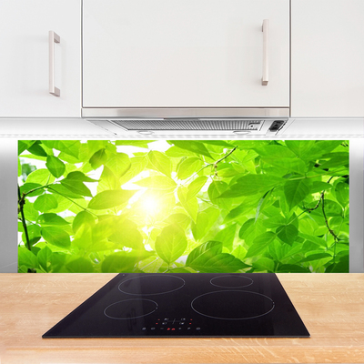 Painel vidro cozinha Folhas Natureza Sol Planta