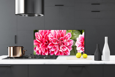 Painel cozinha Flores Planta Natureza