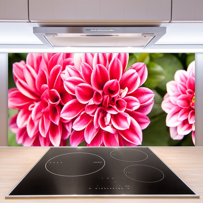 Painel cozinha Flores Planta Natureza