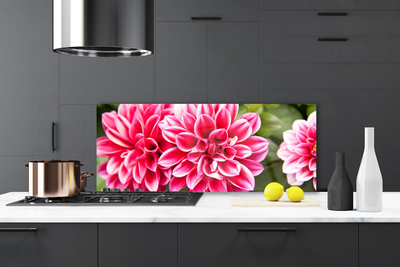 Painel cozinha Flores Planta Natureza