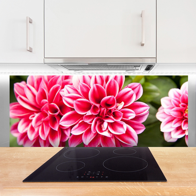 Painel cozinha Flores Planta Natureza