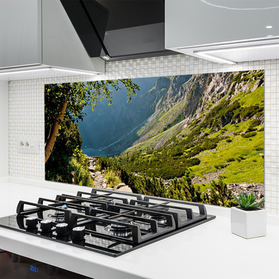 Painel vidro cozinha Natureza da Floresta da Montanha