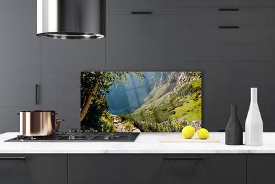 Painel vidro cozinha Natureza da Floresta da Montanha