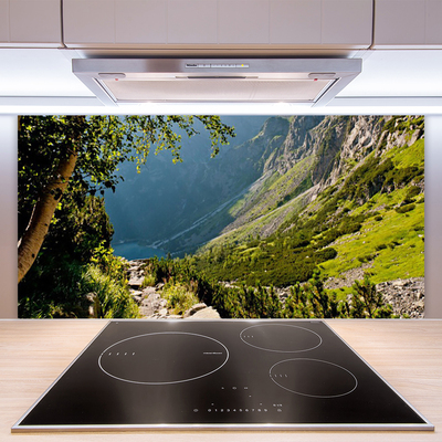 Painel vidro cozinha Natureza da Floresta da Montanha