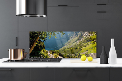 Painel vidro cozinha Natureza da Floresta da Montanha