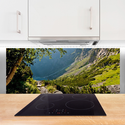 Painel vidro cozinha Natureza da Floresta da Montanha