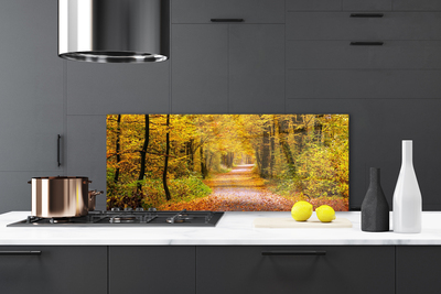Painel vidro cozinha Caminho da Planta Florestal Natureza
