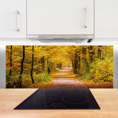 Painel vidro cozinha Caminho da Planta Florestal Natureza