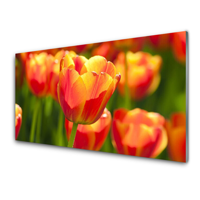 Painel cozinha Tulipas Flores Planta