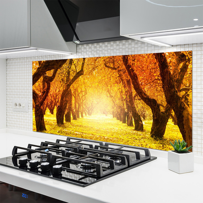 Painel vidro cozinha Caminho da Floresta Árvores Natureza
