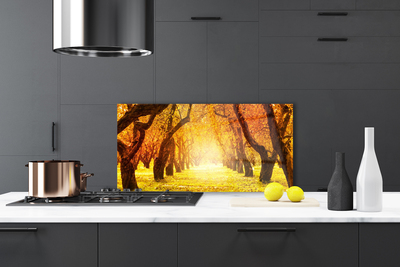 Painel vidro cozinha Caminho da Floresta Árvores Natureza