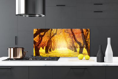 Painel vidro cozinha Caminho da Floresta Árvores Natureza