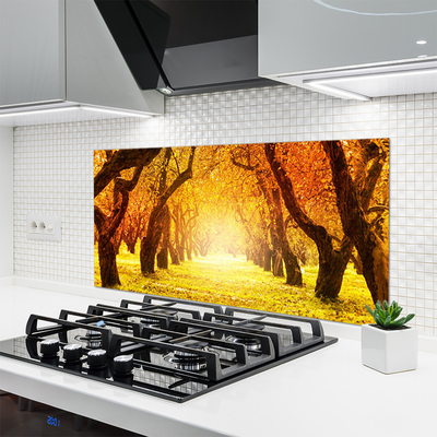 Painel vidro cozinha Caminho da Floresta Árvores Natureza