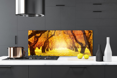 Painel vidro cozinha Caminho da Floresta Árvores Natureza