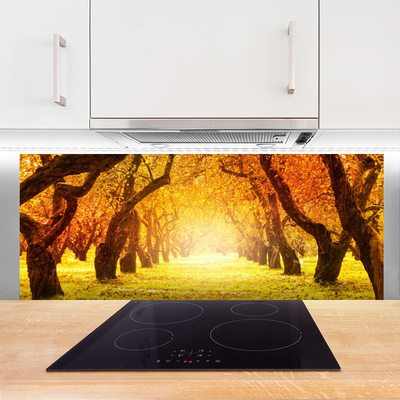Painel vidro cozinha Caminho da Floresta Árvores Natureza