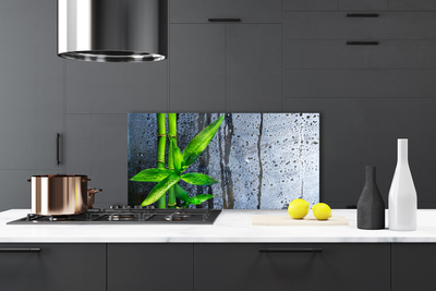 Painel vidro cozinha Planta de folha de bambu Natureza