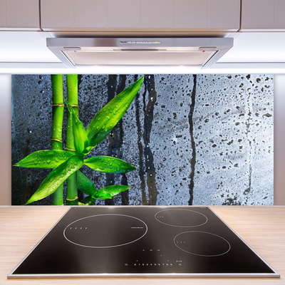 Painel vidro cozinha Planta de folha de bambu Natureza