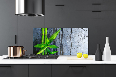 Painel vidro cozinha Planta de folha de bambu Natureza