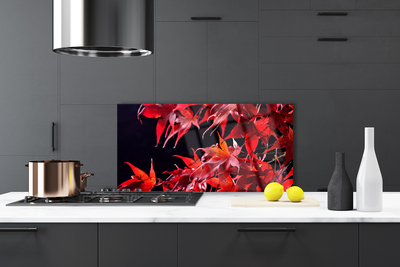 Painel cozinha Folhas Natureza Planta