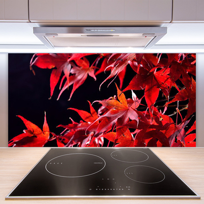 Painel cozinha Folhas Natureza Planta