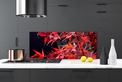 Painel cozinha Folhas Natureza Planta