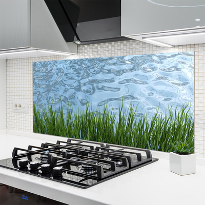Painel vidro cozinha Grama Água Natureza