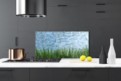 Painel vidro cozinha Grama Água Natureza