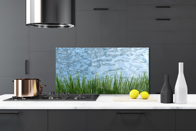 Painel vidro cozinha Grama Água Natureza