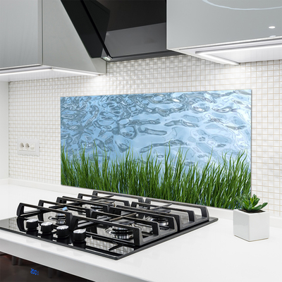 Painel vidro cozinha Grama Água Natureza