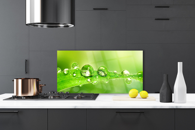 Painel cozinha Folhas Gotas Orvalho Planta