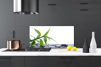 Painel cozinha Folha Natureza Pedras Planta