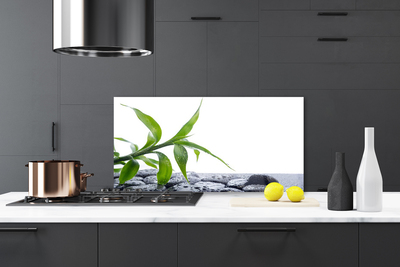 Painel cozinha Folha Natureza Pedras Planta