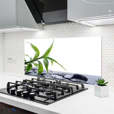 Painel cozinha Folha Natureza Pedras Planta