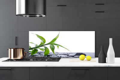 Painel cozinha Folha Natureza Pedras Planta