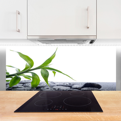 Painel cozinha Folha Natureza Pedras Planta