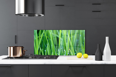 Painel cozinha Gotas de grama Planta Natureza