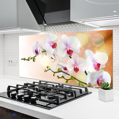 Painel cozinha Flores Planta Natureza
