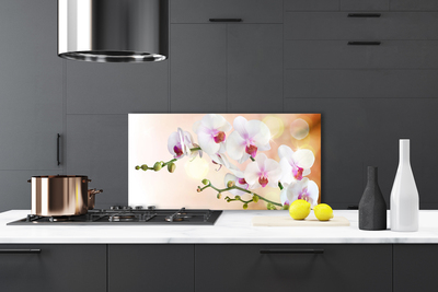 Painel cozinha Flores Planta Natureza