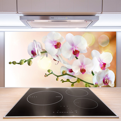 Painel cozinha Flores Planta Natureza