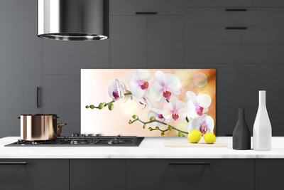 Painel cozinha Flores Planta Natureza