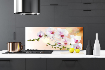 Painel cozinha Flores Planta Natureza