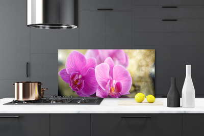 Painel cozinha Flores Planta Natureza