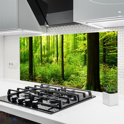 Painel vidro cozinha Floresta Verde Árvores Natureza