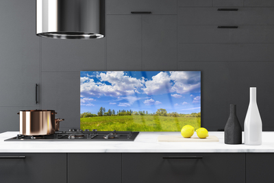 Painel cozinha Paisagem do céu com grama de prado