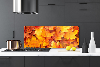 Painel vidro cozinha Folhas Natureza Planta