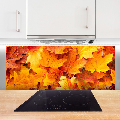 Painel vidro cozinha Folhas Natureza Planta