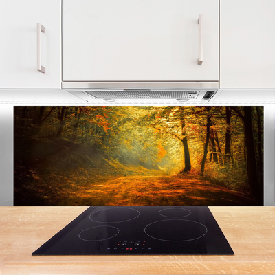 Painel cozinha Caminho da Floresta Árvores Natureza