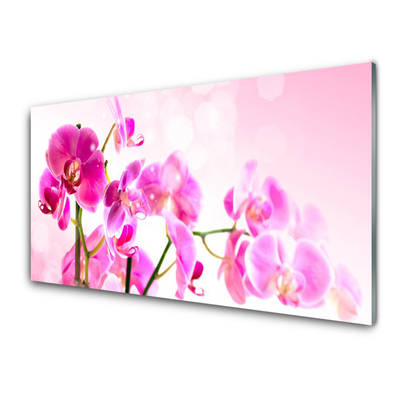 Painel cozinha Flores Planta Natureza
