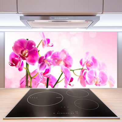 Painel cozinha Flores Planta Natureza